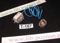 TERMOSTAT/48313